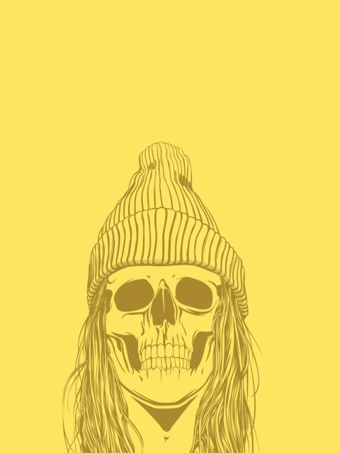 Screenshot №1 pro téma Skull In Hat 480x640