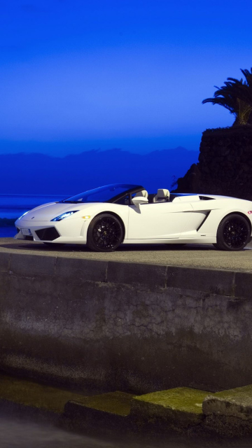 Screenshot №1 pro téma Lamborghini 360x640
