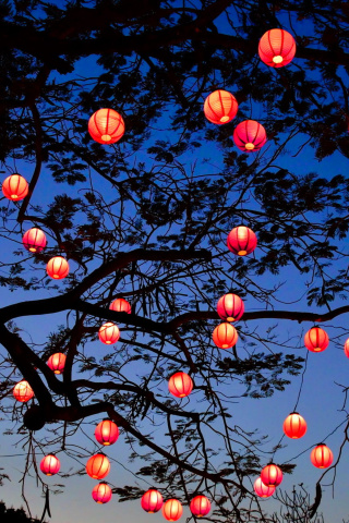 Screenshot №1 pro téma Chinese New Year Lanterns 320x480
