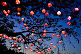 Chinese New Year Lanterns Wallpaper for Android, iPhone and iPad