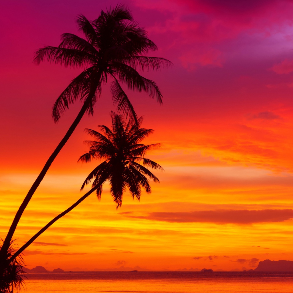 Screenshot №1 pro téma Amazing Pink And Orange Tropical Sunset 1024x1024