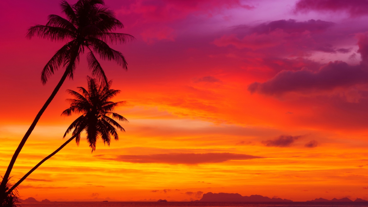 Sfondi Amazing Pink And Orange Tropical Sunset 1280x720