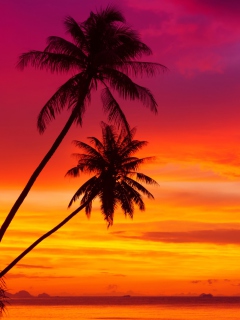 Screenshot №1 pro téma Amazing Pink And Orange Tropical Sunset 240x320