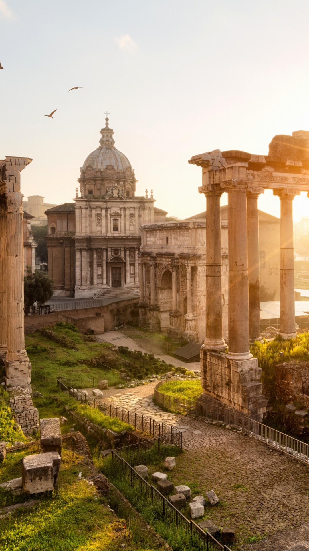 Screenshot №1 pro téma Roman Forum in Rome Italy 1080x1920