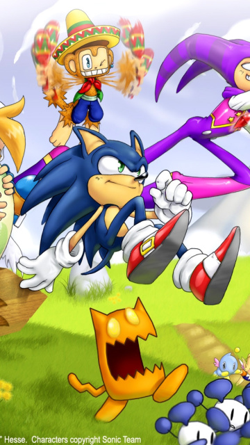 Fondo de pantalla Sonic the Hedgehog 360x640