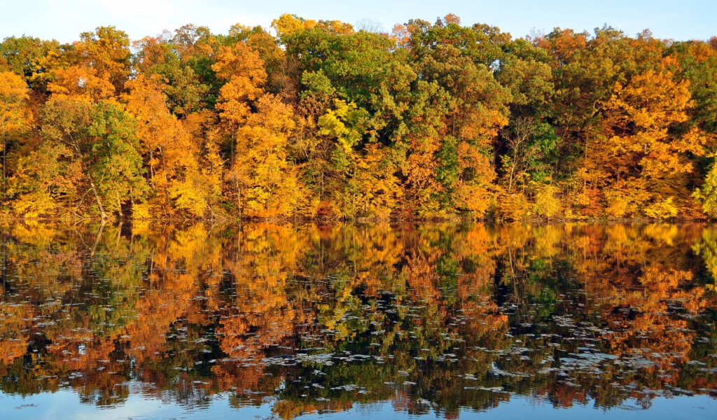Fondo de pantalla Beautiful Autumn Reflection 1024x600