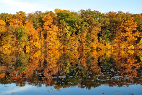 Das Beautiful Autumn Reflection Wallpaper 480x320