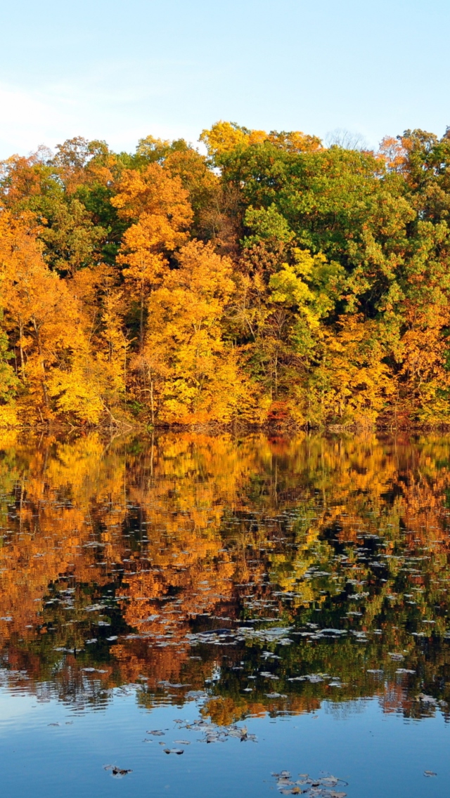 Screenshot №1 pro téma Beautiful Autumn Reflection 640x1136