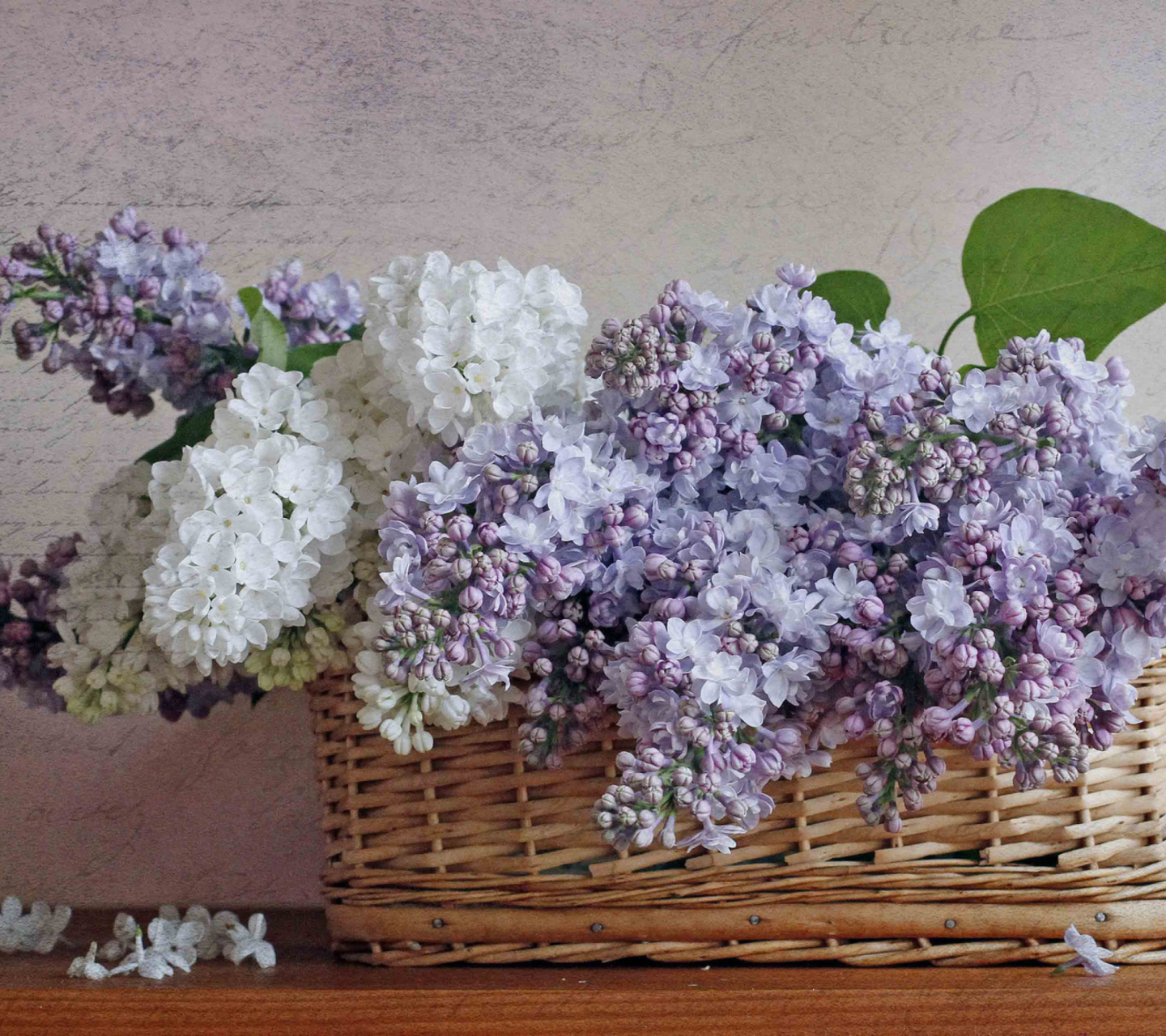 Lilac Basket wallpaper 1440x1280