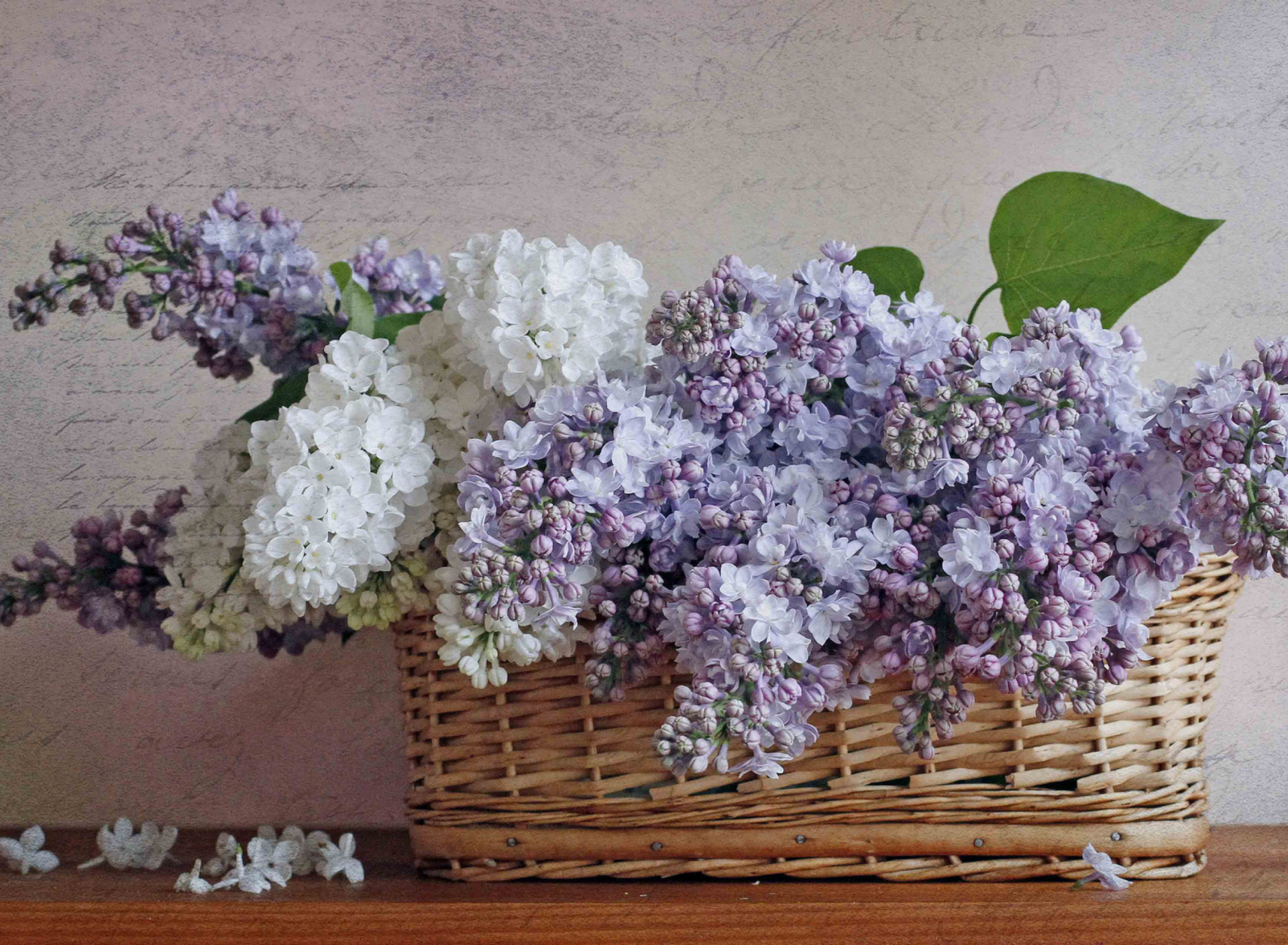 Screenshot №1 pro téma Lilac Basket 1920x1408