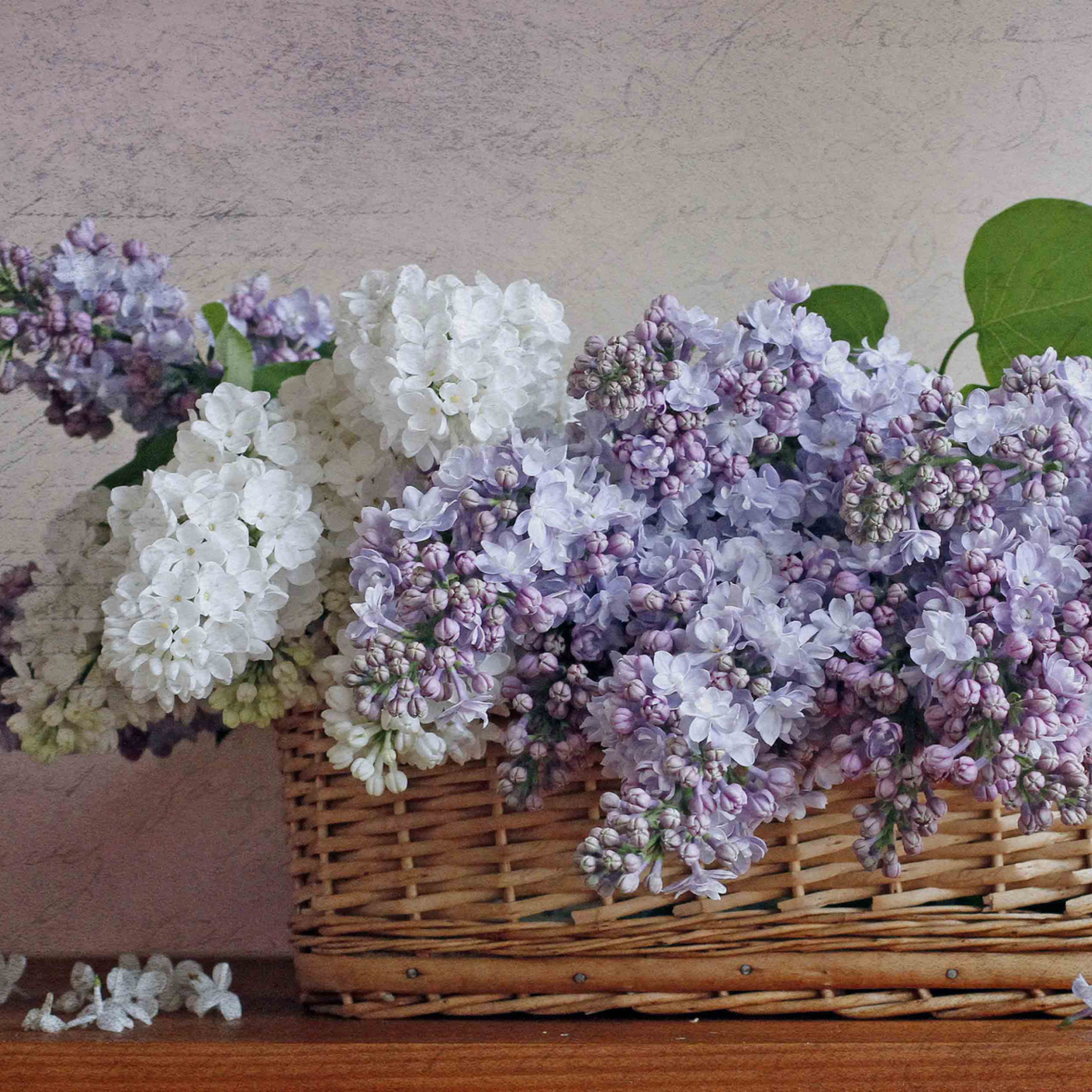 Обои Lilac Basket 2048x2048