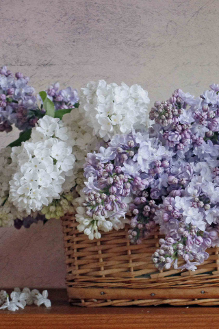 Fondo de pantalla Lilac Basket 320x480