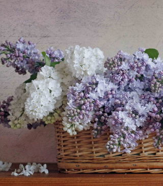 Lilac Basket Picture for 132x176