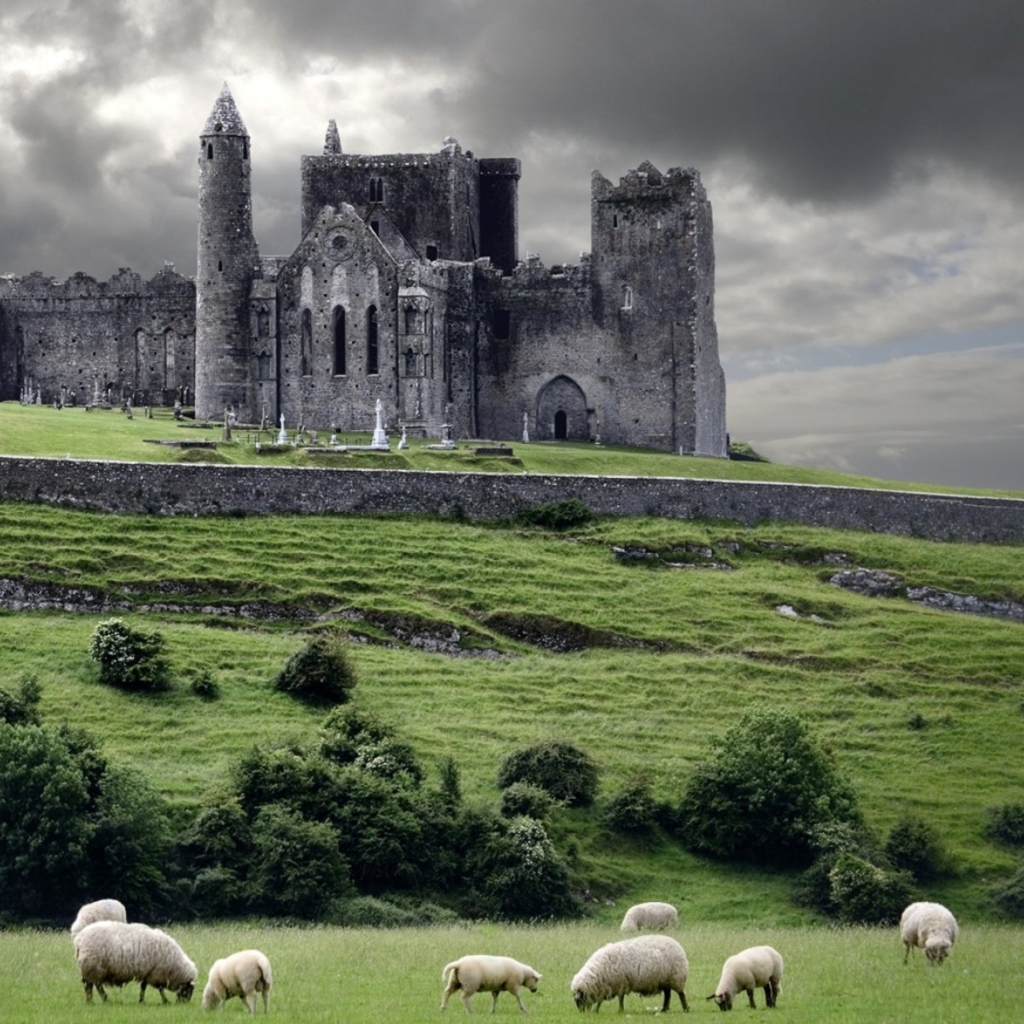Обои Ireland Landscape With Sheep And Castle 1024x1024