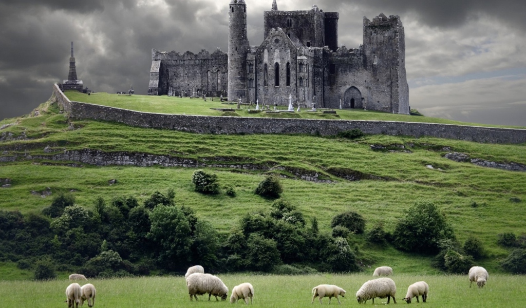 Обои Ireland Landscape With Sheep And Castle 1024x600
