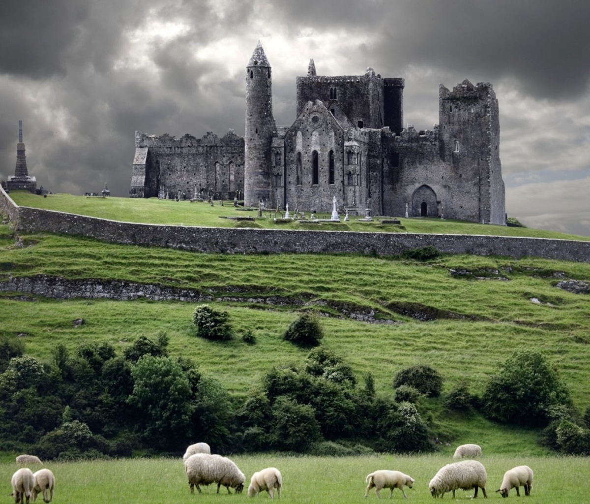 Sfondi Ireland Landscape With Sheep And Castle 1200x1024