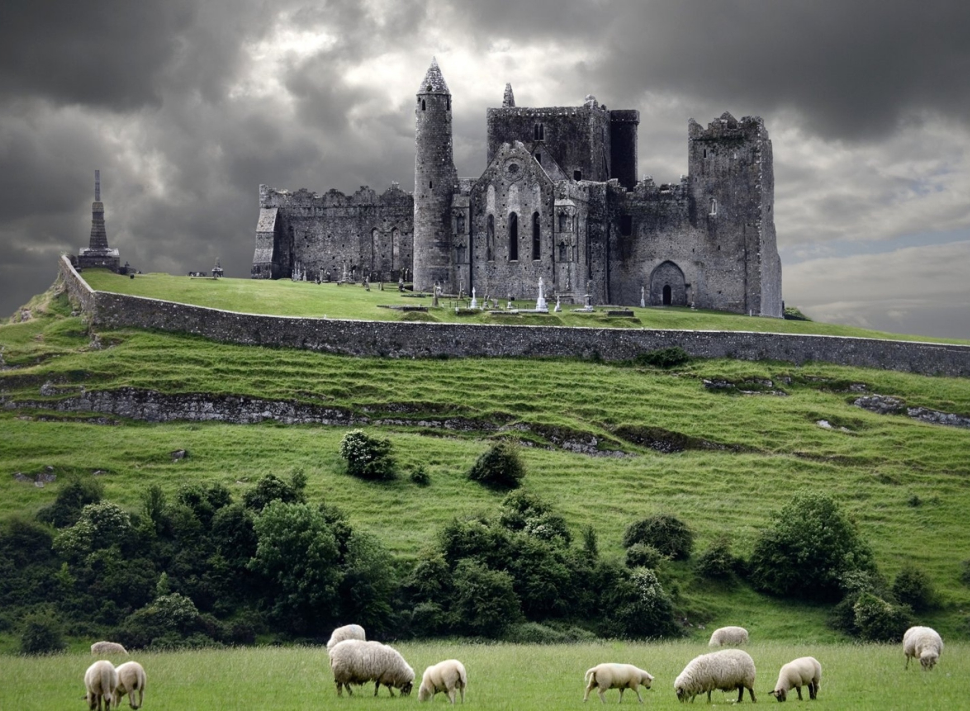 Обои Ireland Landscape With Sheep And Castle 1920x1408