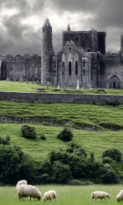 Das Ireland Landscape With Sheep And Castle Wallpaper 240x400