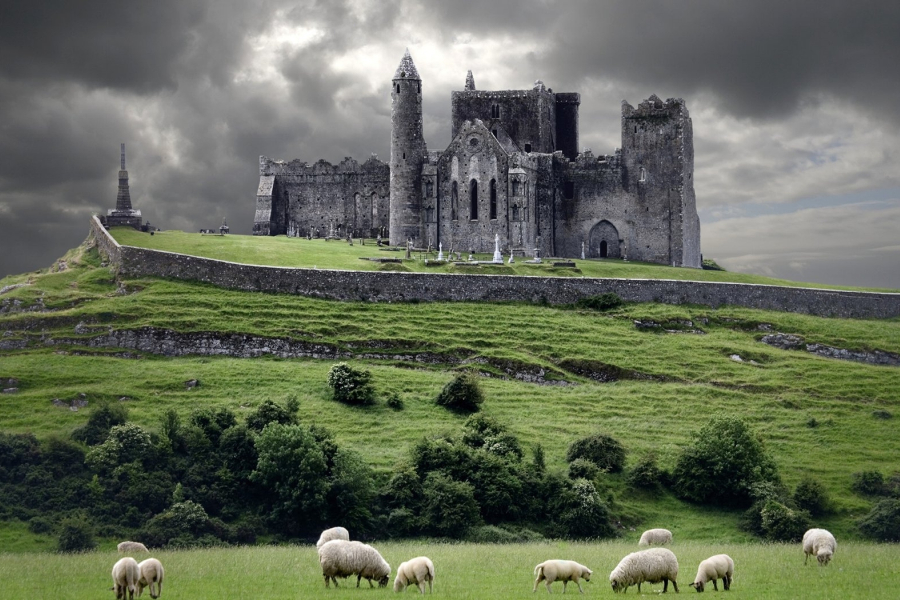 Das Ireland Landscape With Sheep And Castle Wallpaper 2880x1920