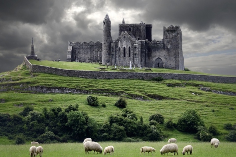 Das Ireland Landscape With Sheep And Castle Wallpaper 480x320
