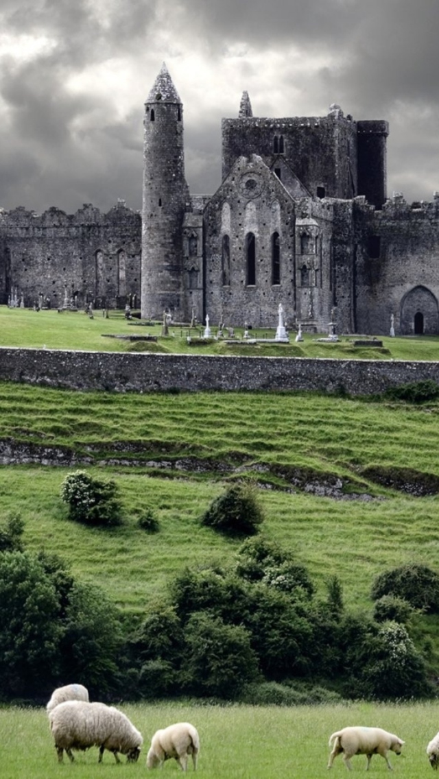 Sfondi Ireland Landscape With Sheep And Castle 640x1136
