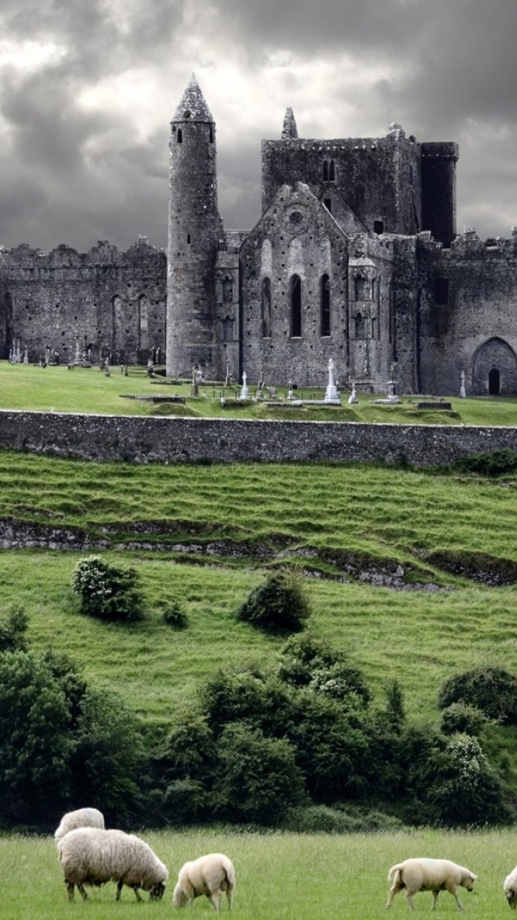 Обои Ireland Landscape With Sheep And Castle 750x1334