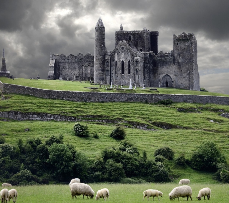 Обои Ireland Landscape With Sheep And Castle 960x854