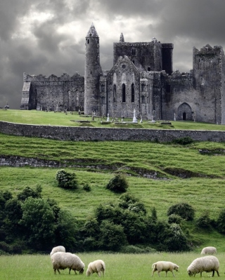 Kostenloses Ireland Landscape With Sheep And Castle Wallpaper für Nokia C5-05