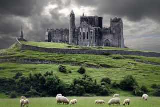 Kostenloses Ireland Landscape With Sheep And Castle Wallpaper für Android, iPhone und iPad