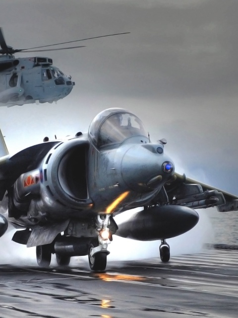 Screenshot №1 pro téma British Aerospace Harrier GR7 480x640