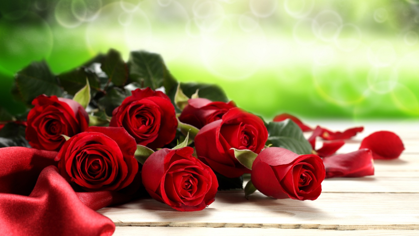Обои Red Roses for Valentines Day 1366x768
