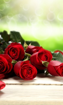 Обои Red Roses for Valentines Day 240x400