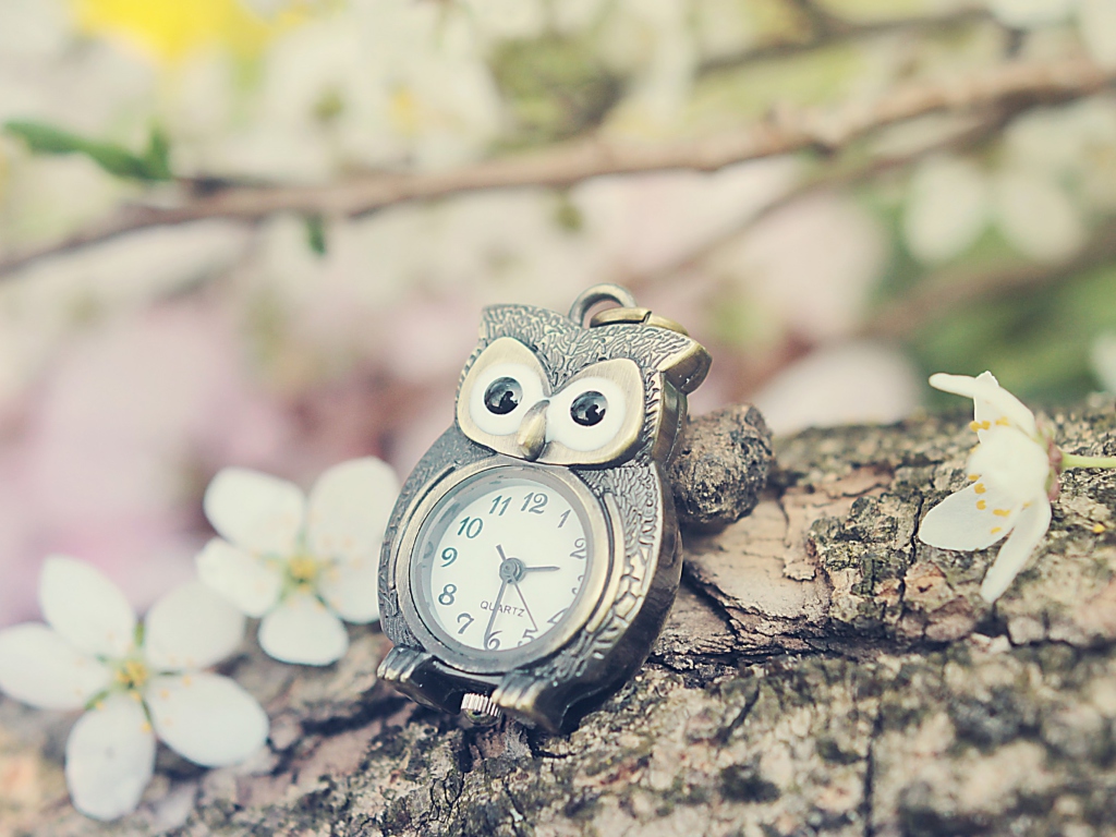 Обои Vintage Owl Watch 1024x768