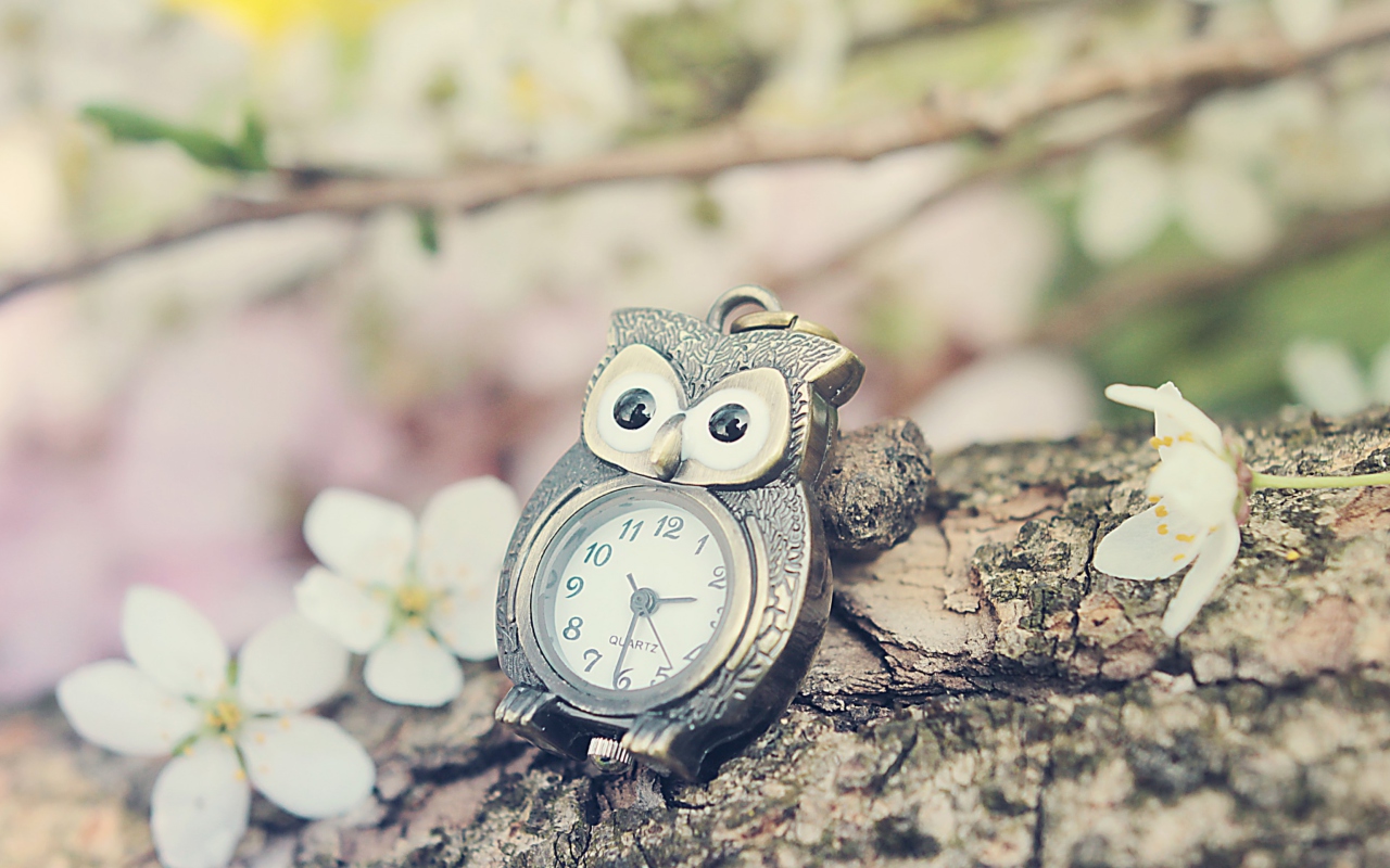 Screenshot №1 pro téma Vintage Owl Watch 1280x800