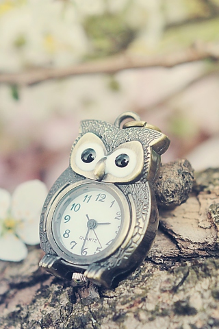 Fondo de pantalla Vintage Owl Watch 320x480