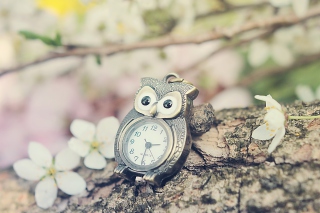 Vintage Owl Watch - Obrázkek zdarma pro LG Optimus M