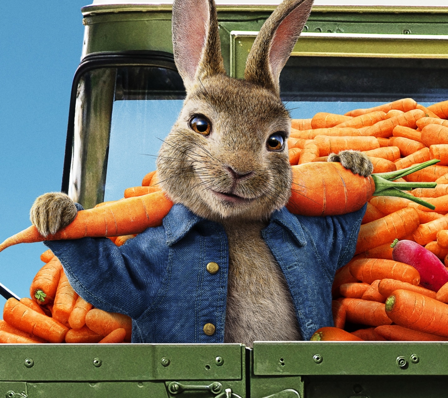Fondo de pantalla Peter Rabbit 2 The Runaway 2020 1440x1280