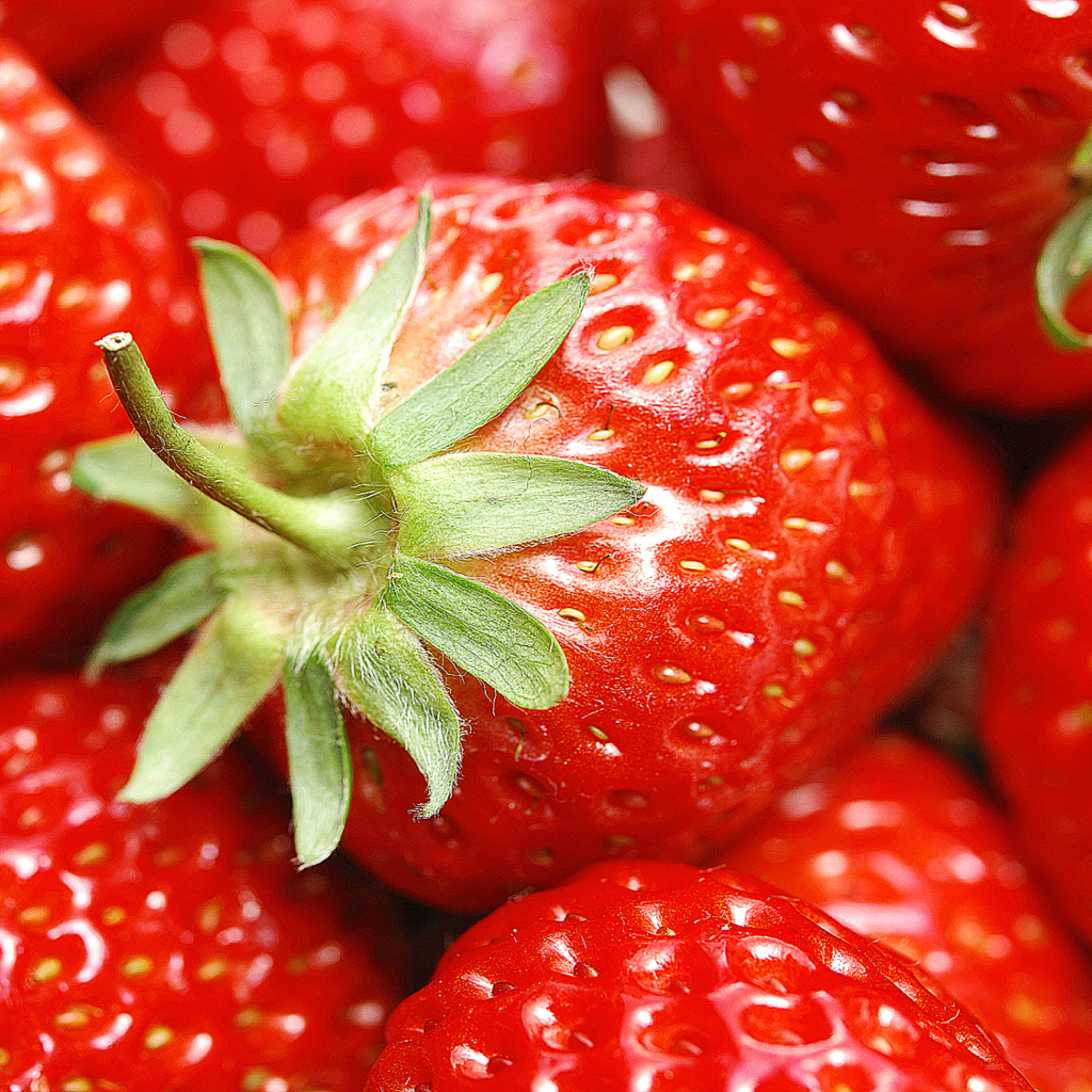 Fondo de pantalla Strawberries 1024x1024