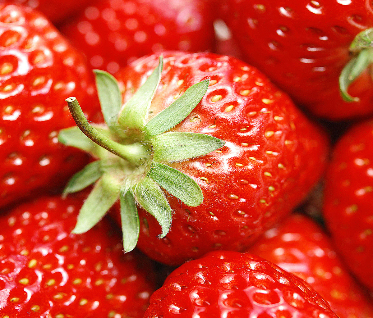Screenshot №1 pro téma Strawberries 1200x1024
