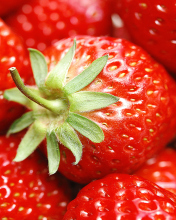 Strawberries wallpaper 176x220