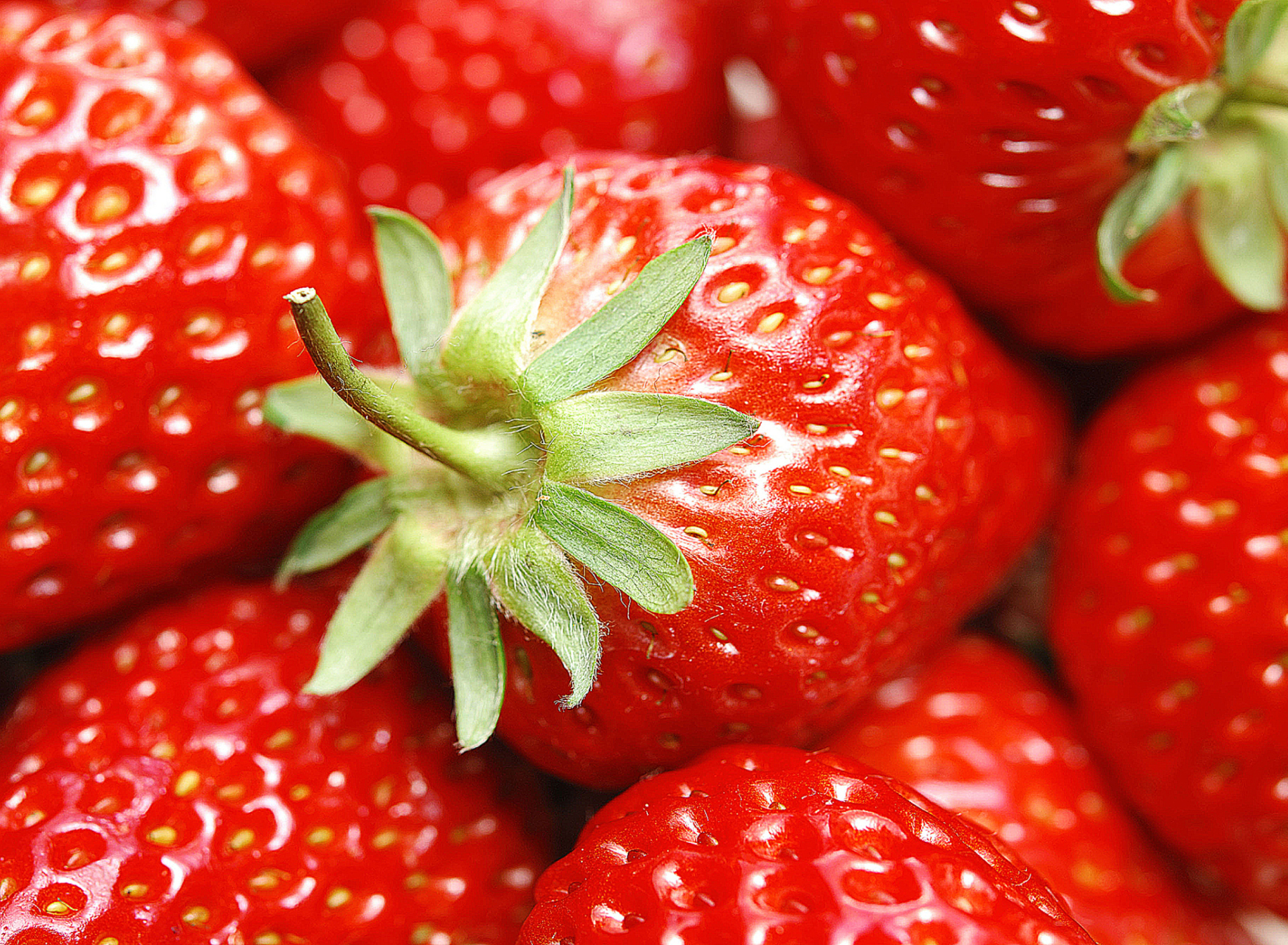 Strawberries wallpaper 1920x1408