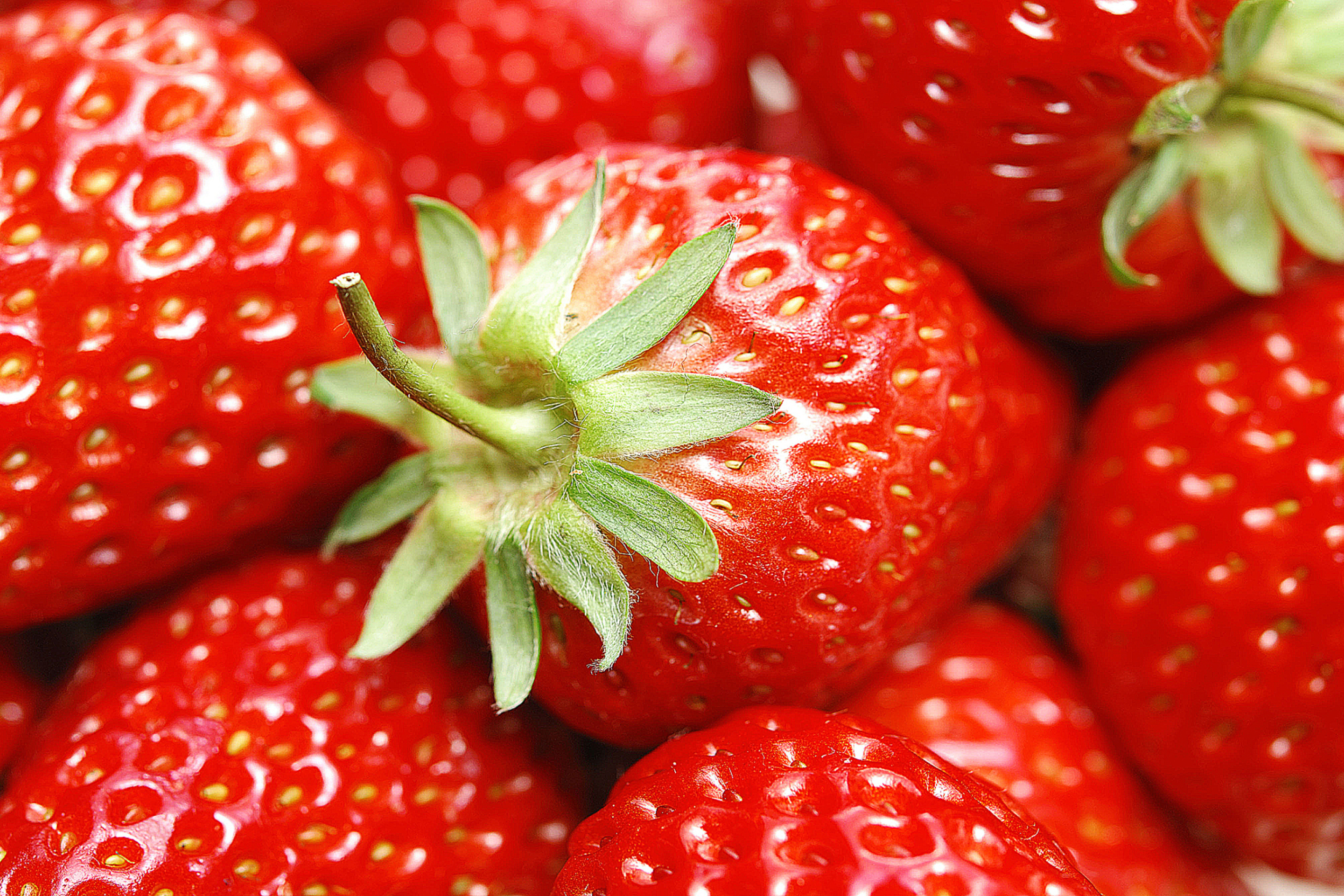 Screenshot №1 pro téma Strawberries 2880x1920