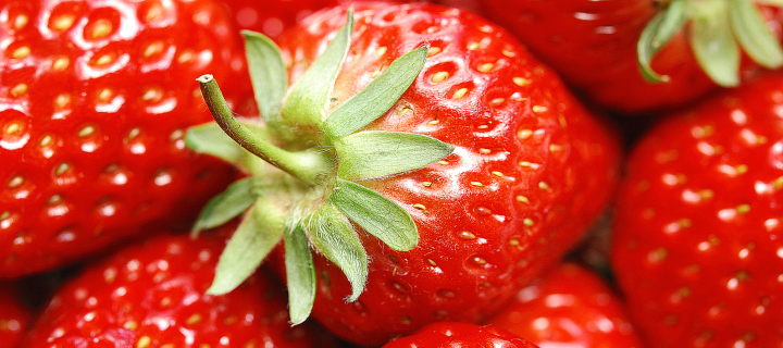 Screenshot №1 pro téma Strawberries 720x320