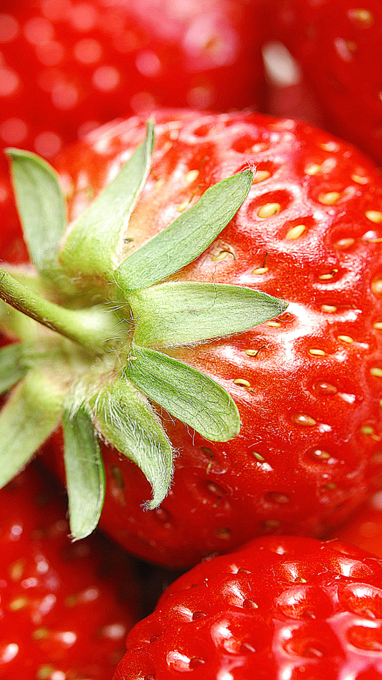 Strawberries wallpaper 750x1334