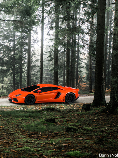 Screenshot №1 pro téma Lamborghini Aventador 480x640