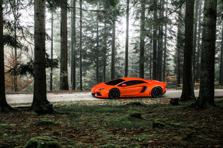 Das Lamborghini Aventador Wallpaper