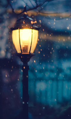 Screenshot №1 pro téma Winter Street Lantern 240x400