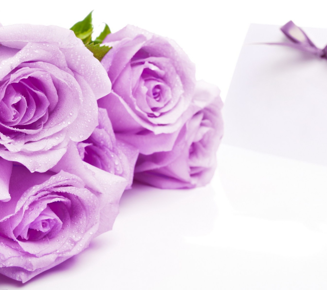 Fondo de pantalla Purple Roses 1080x960
