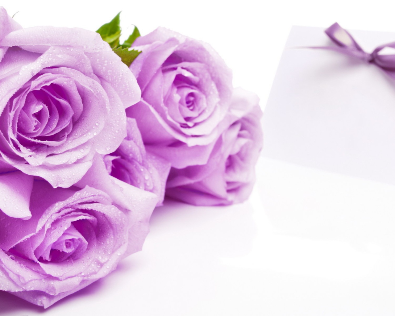Fondo de pantalla Purple Roses 1280x1024