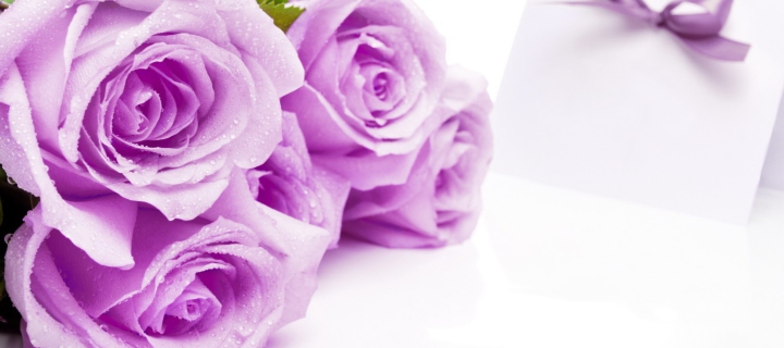 Screenshot №1 pro téma Purple Roses 720x320